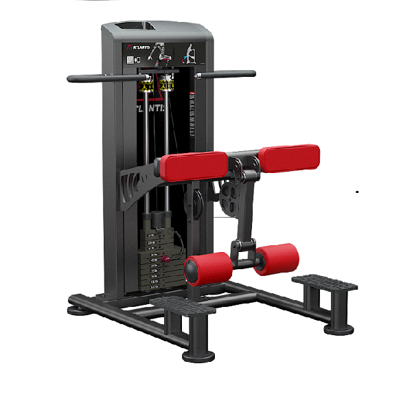 Atlantis Standing Leg Curl