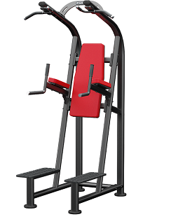 Chin dip discount leg raise