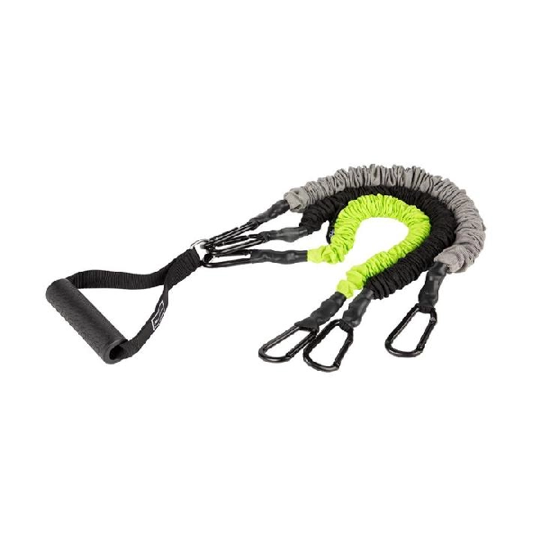 Fitbench Free