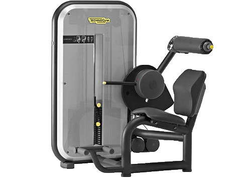 Used Technogym Low Back | Dotmar Fitness