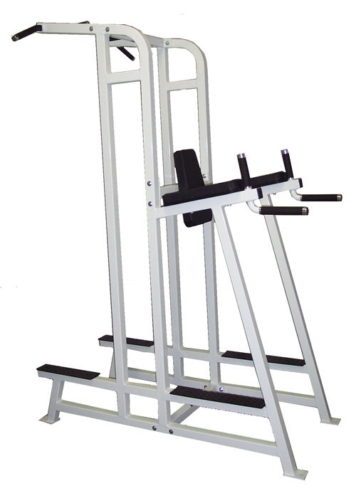 Dotmar Matrix Chin Dip Leg Raise Combo