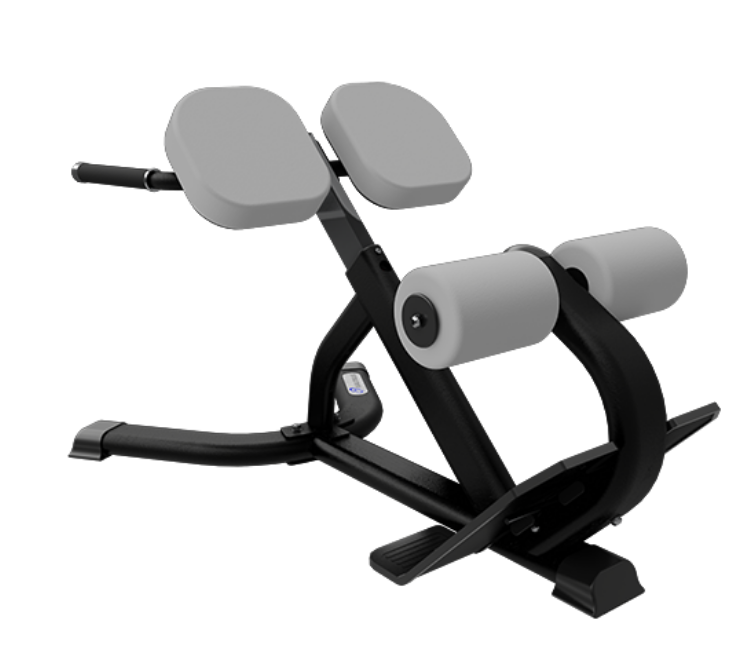 Nautilus Instinct 45 Degree Back Extension