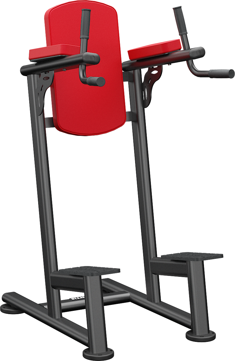 Atlantis Standing Leg Raise / Dip