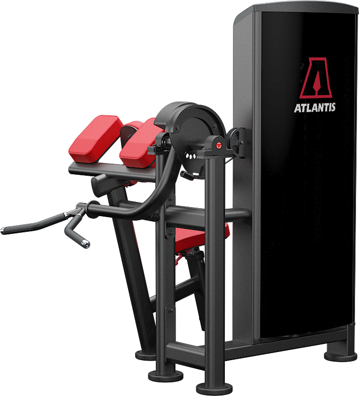 Atlantis Biceps Curl