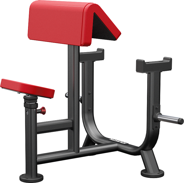 Atlantis Seated Preacher Curl