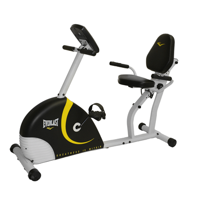 Everlast Recumbent Bike Dotmar Fitness