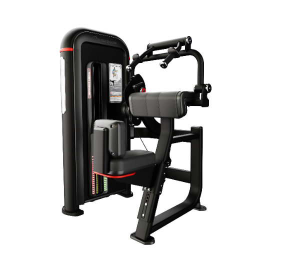 Nautilus Inspiration Triceps Extension