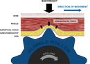 Rumble Roller Original