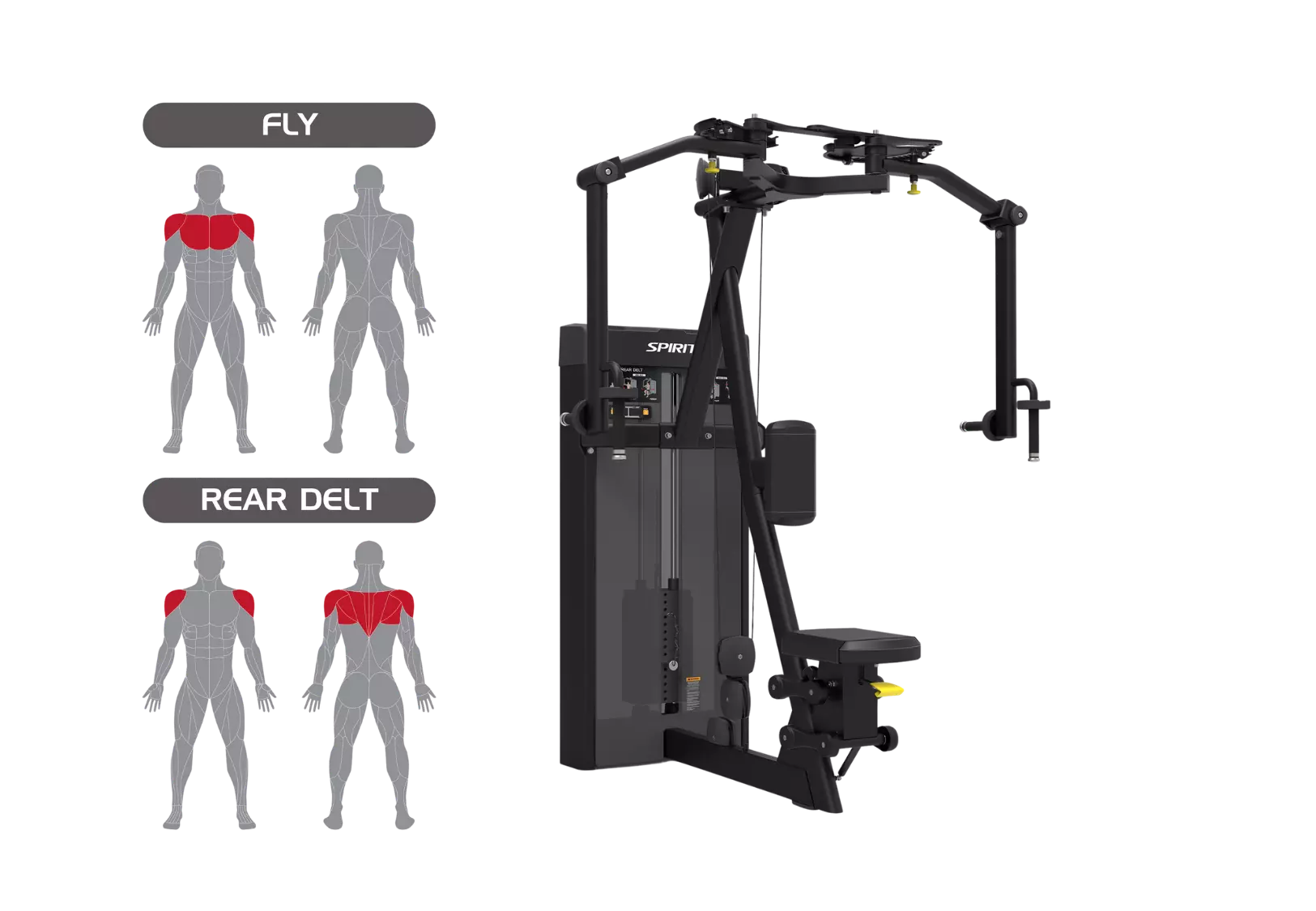 Spirit Pec Fly / Rear Delt