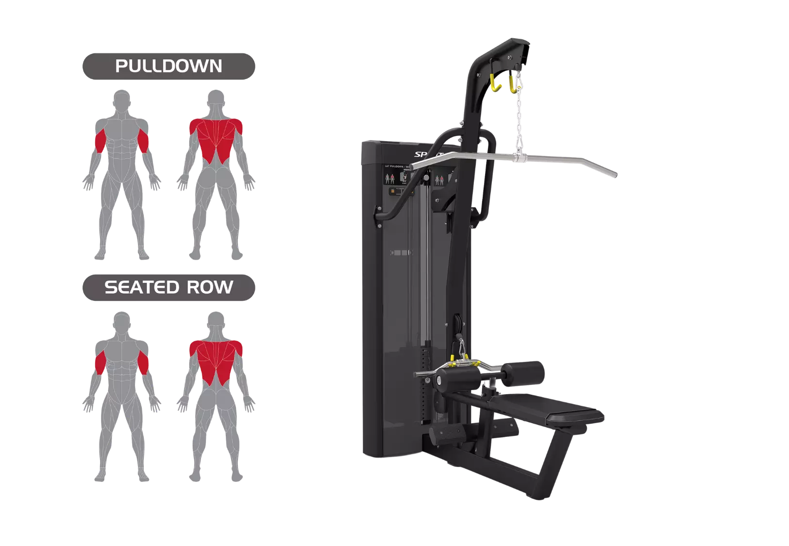 Spirit Lat Pulldown / Seated Row