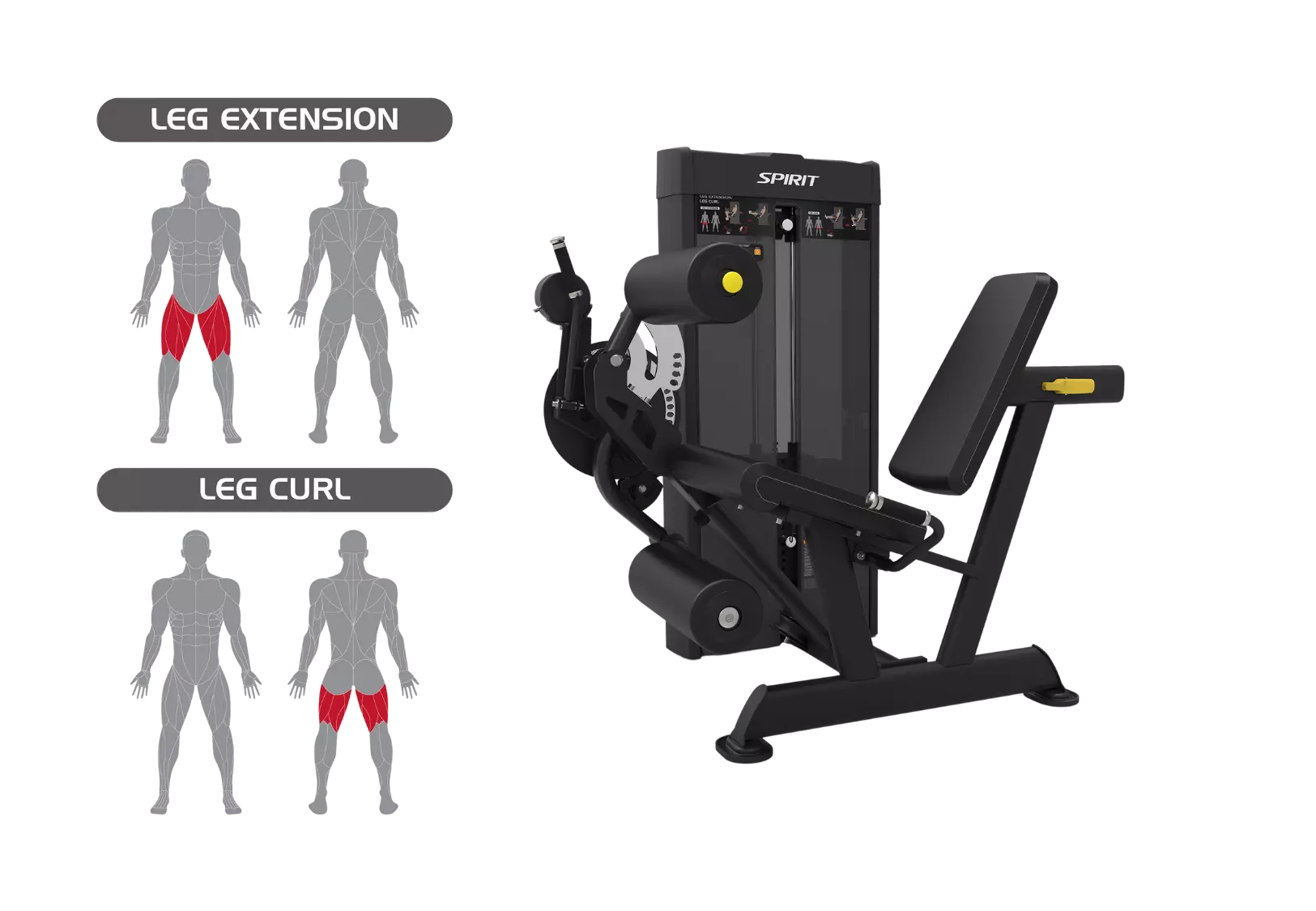 Spirit Leg Extension / Leg Curl