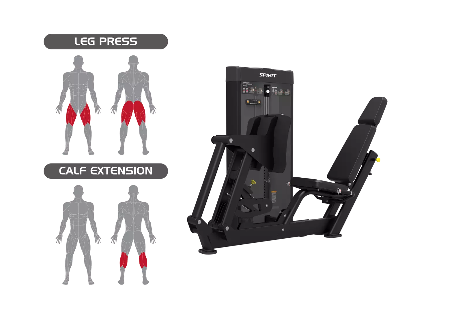 Spirit Leg Press / Calf Extension