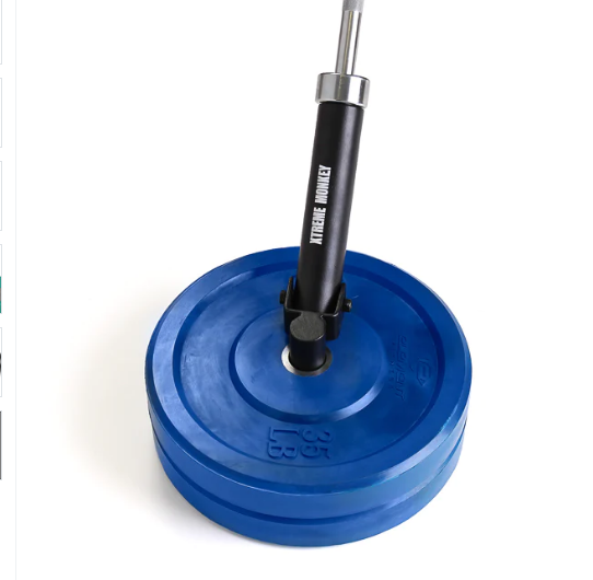 XM Fitness Commercial Landmine Insert for 2" Plates