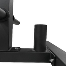 York Olympic Weight Plate Tree