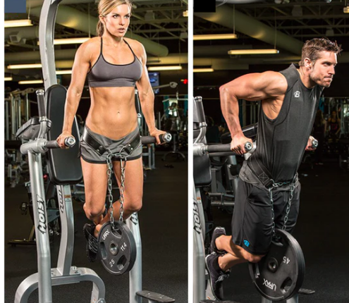 Grizzly Fitness Leather Pro Dip and Pull Up Weight Training Belt with 36" Chain
