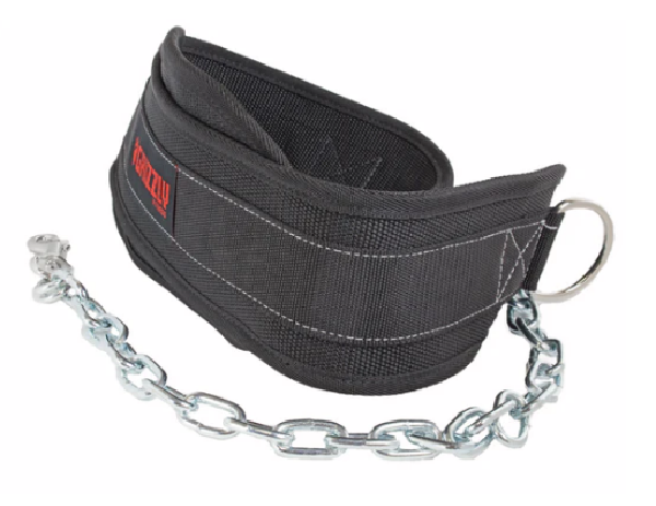 Grizzly Fitness Woven Nylon Pro Dip and Pull Up Belt with 36" Chain