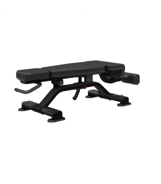 Nautilus Adjustable Decline Bench