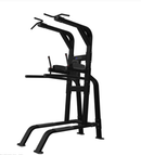 Nautilus Pull-Up/Dip/Leg Raise