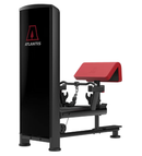 Atlantis Standing Bicep Curl