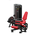 Atlantis Seated Leg Curl