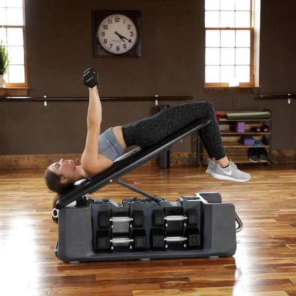 Fitbench Free