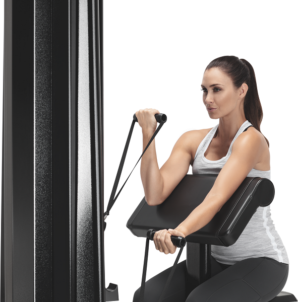 Freemotion Genesis Biceps