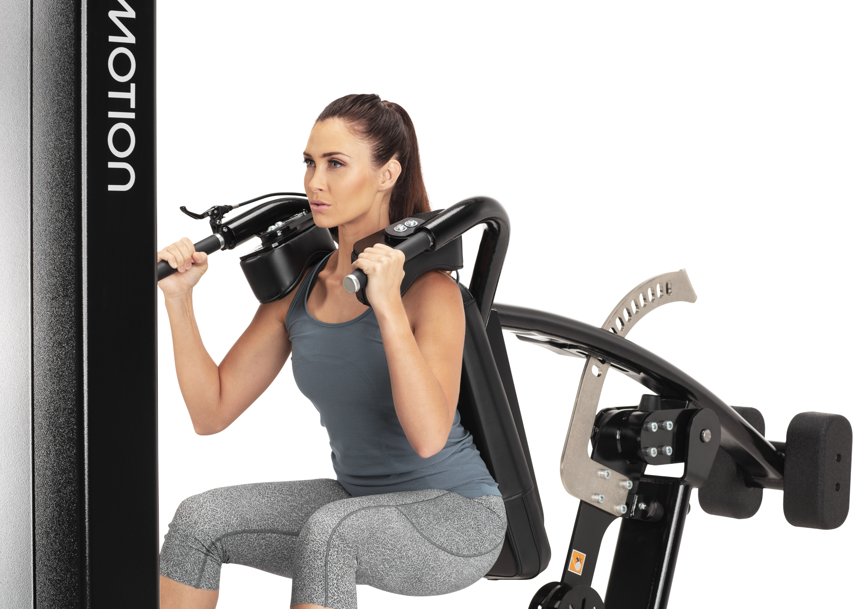 Freemotion Genesis Squat