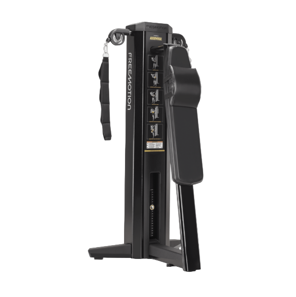 Freemotion Genesis Abdominal