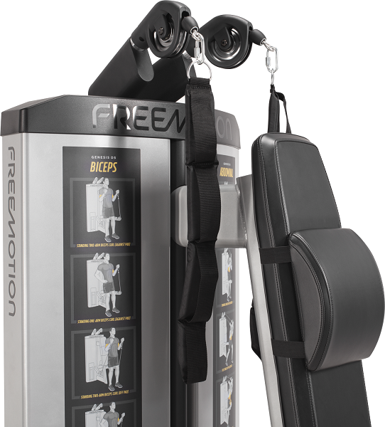 Freemotion Genesis DS Abdominal/Biceps