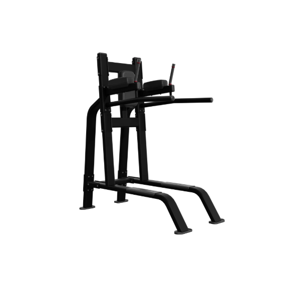 Nautilus Body Weight Stations