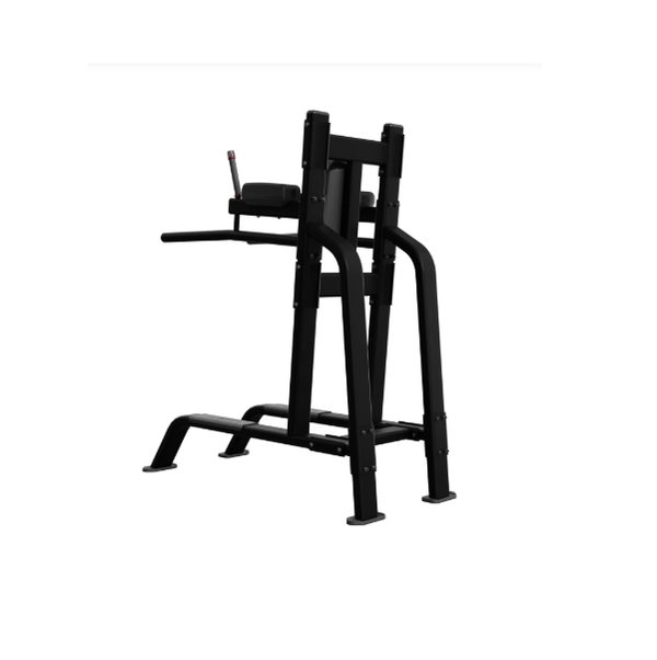 Nautilus Body Weight Stations