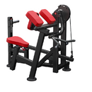 Atlantis Preacher Curl