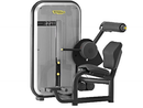 Used Technogym Low Back