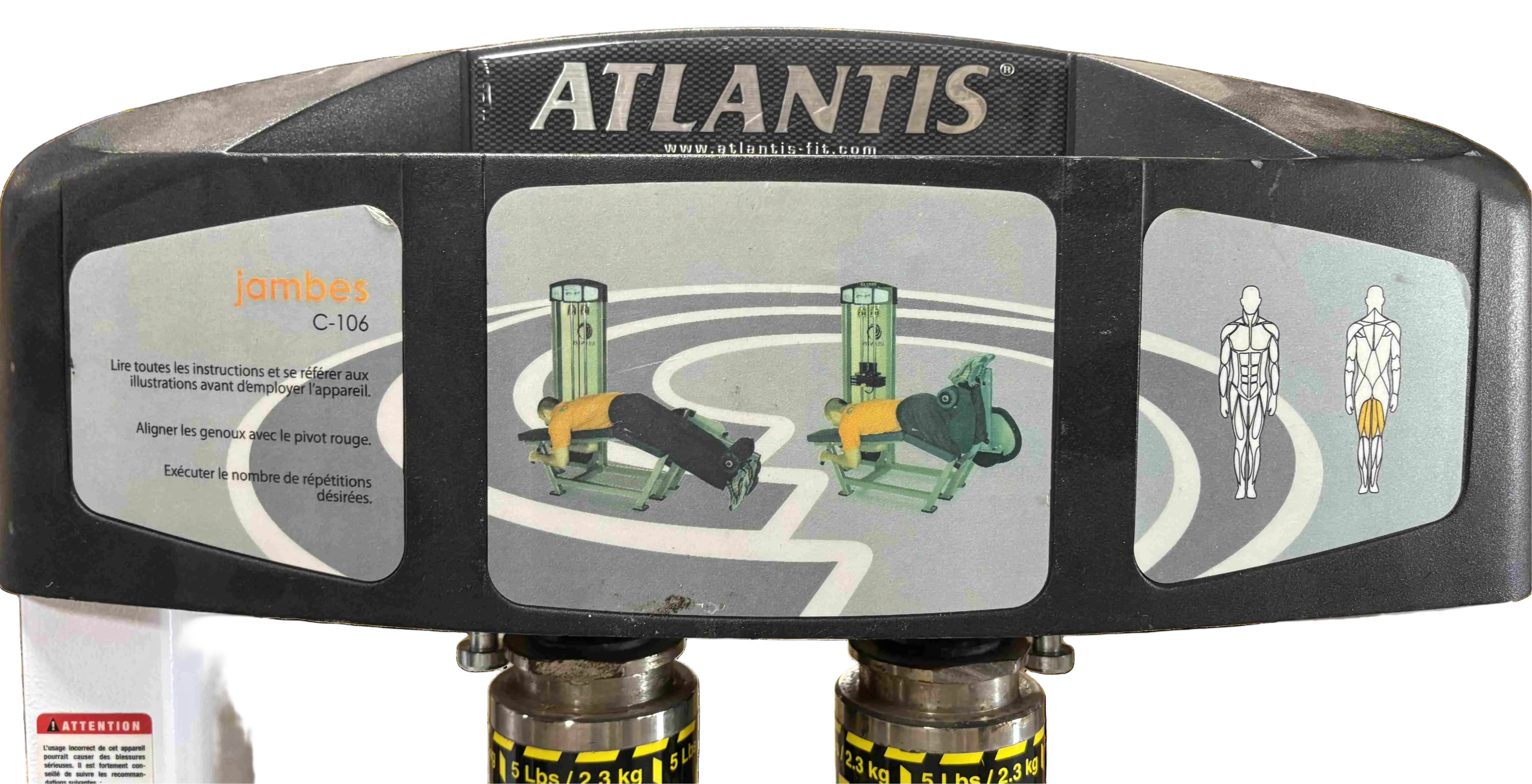 Used Atlantis lying leg curl