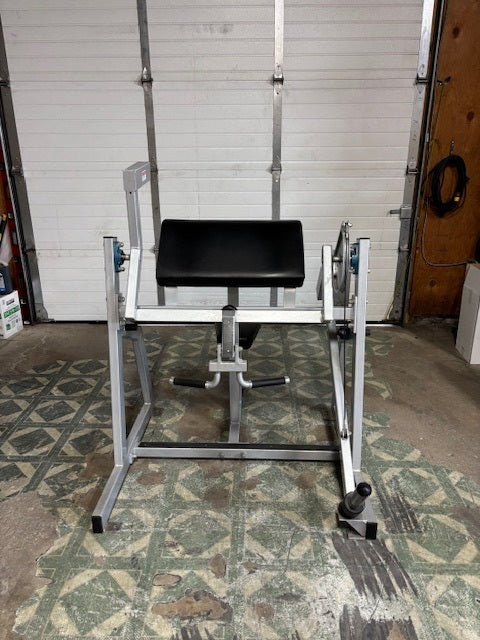 Used Hammer Style Biceps Curl Machine