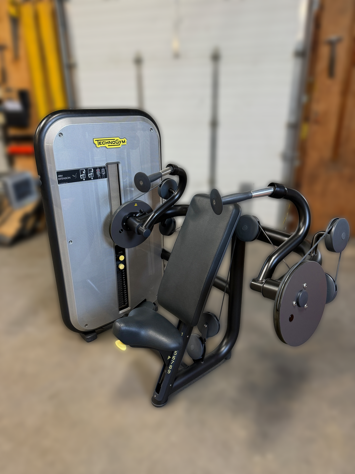 Used Technogym Arm Extension w/Rep Counter | Dotmar Fitness