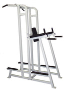 Dotmar Matrix Chin Dip Leg Raise Combo