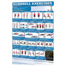 Dumbbell Exercises - Shoulders and Arms laminated Instructions  