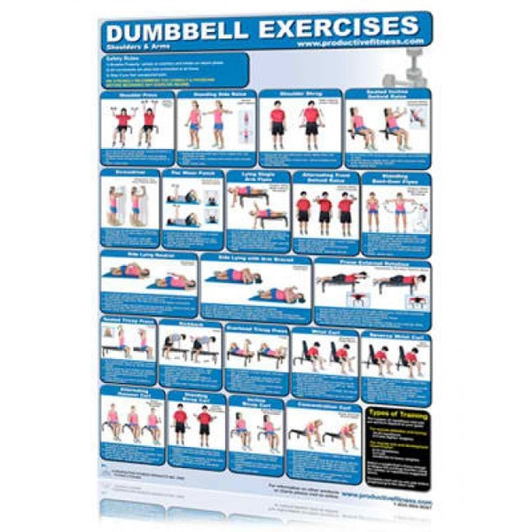 Dumbbell Exercises - Shoulders and Arms laminated Instructions  
