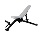 Nautilus Multi-Adjustable Bench 100