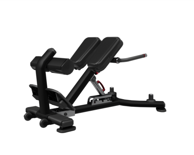 Nautilus Adjustable Back Extension
