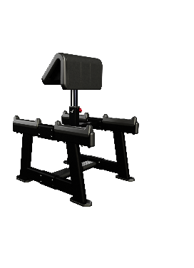 Nautilus Standing Preacher Curl