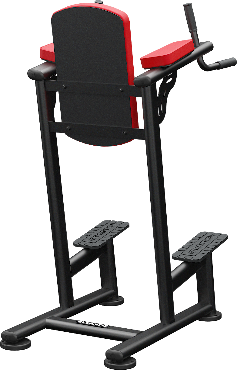 Atlantis Standing Leg Raise / Dip