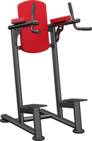 Atlantis Standing Leg Raise / Dip