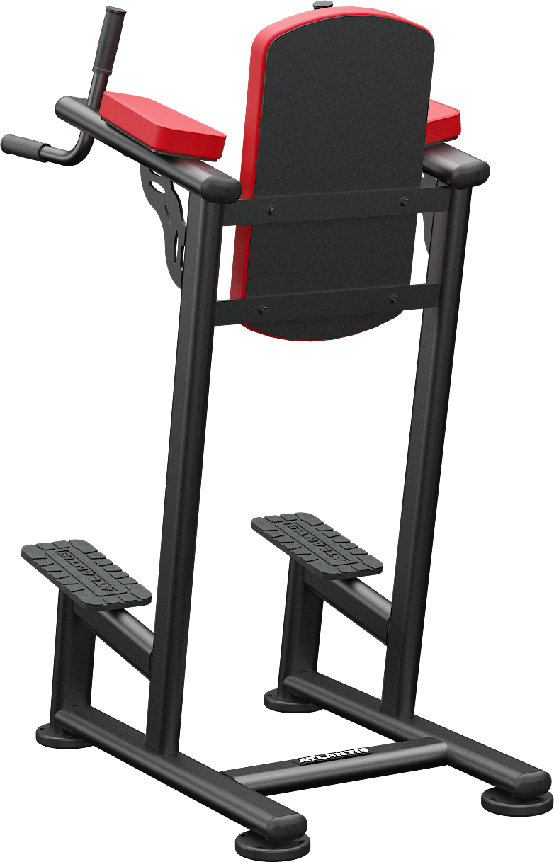 Atlantis Standing Leg Raise / Dip