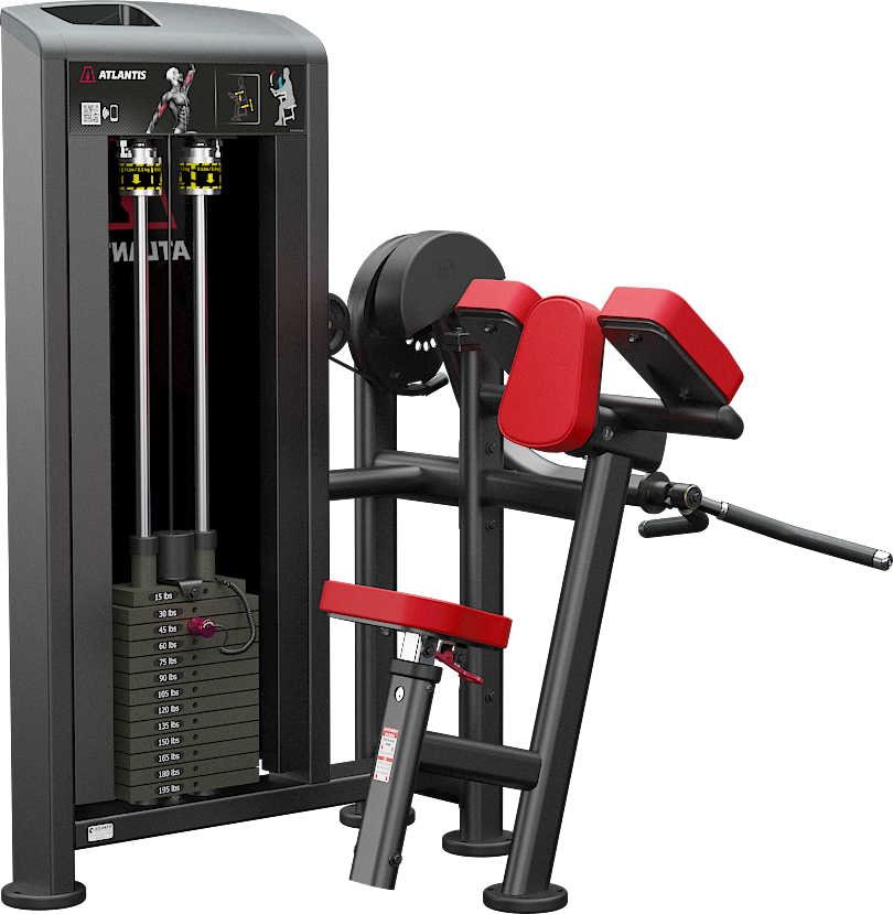 Atlantis Biceps Curl