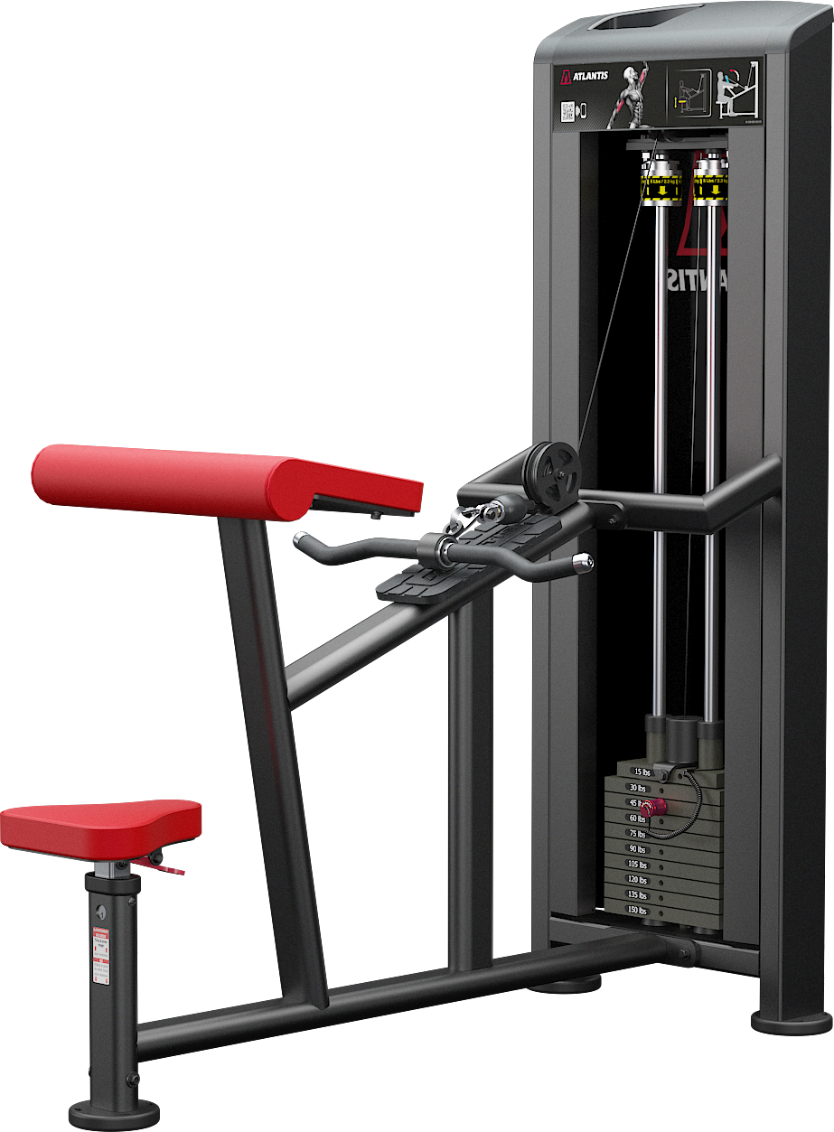 Atlantis Horizontal Curl