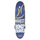 Bongo Board view from top