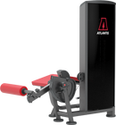 Atlantis Lying Leg Curl