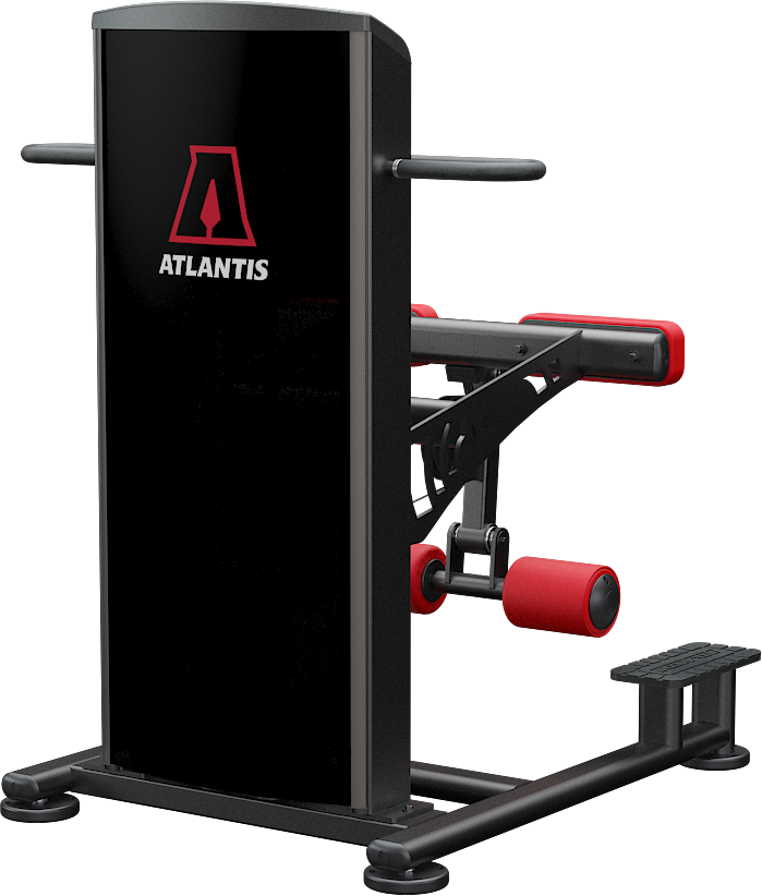 Atlantis Standing Leg Curl